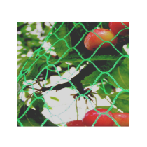 Filet anti-oiseaux - Maille de 25 mm
