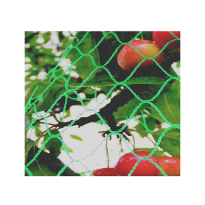 Filet anti-oiseaux - Maille de 25 mm