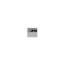 Sandow 8mm noir à part