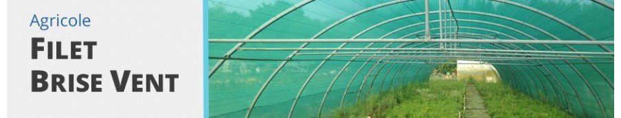 Filet brise-vent pour exploitation agricole