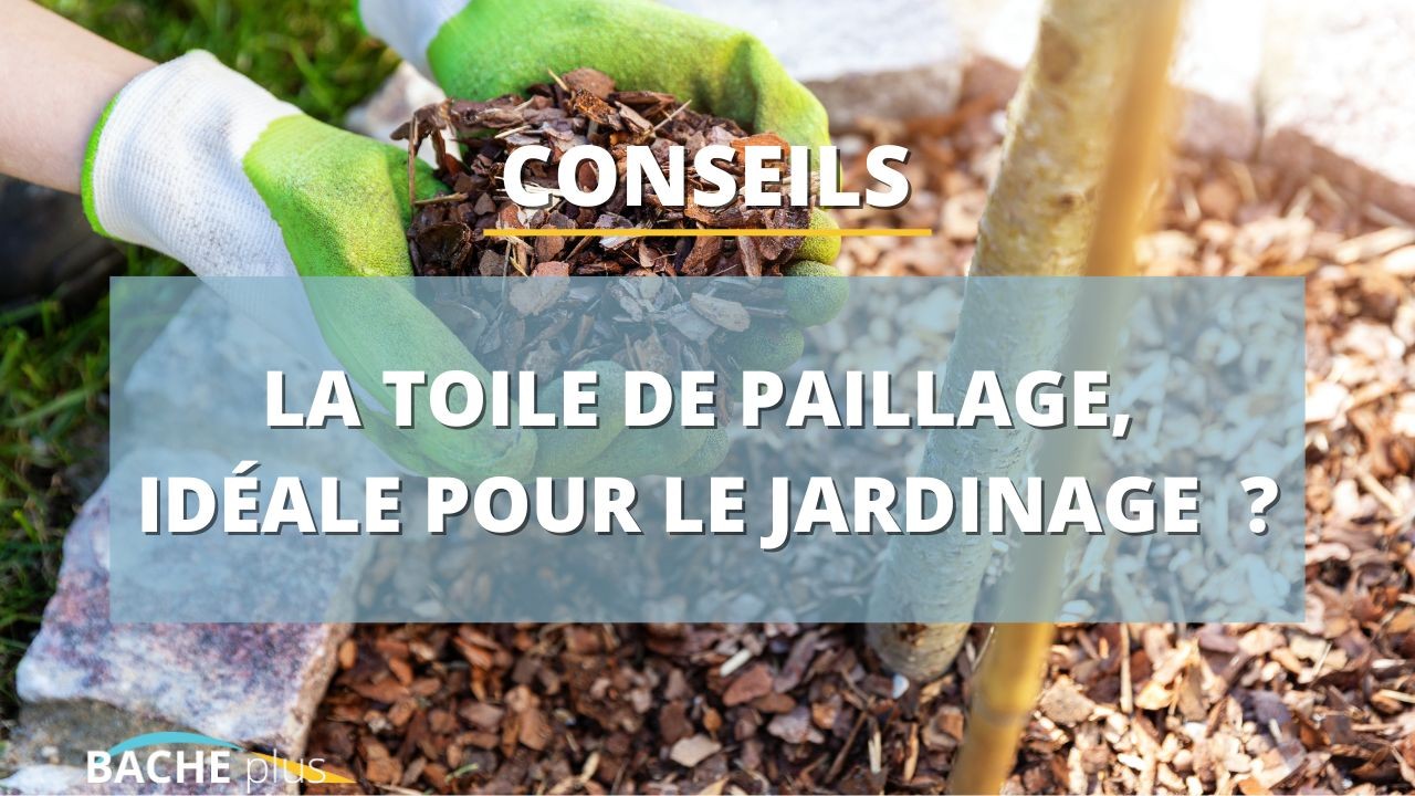 Géotextile ou toile de paillage, que choisir ?