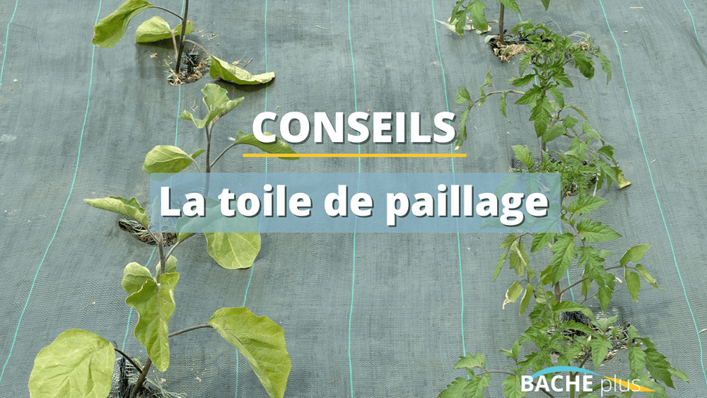 Comment poser une toile de paillage ?