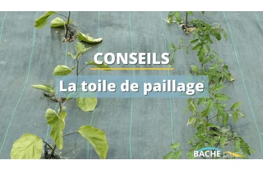 Comment poser une toile de paillage ?