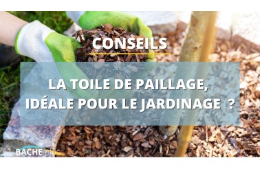 Géotextile ou toile de paillage, que choisir ?