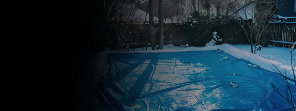 cms-banner-1.jpg